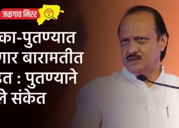 काका-पुतण्यात होणार बारामतीत लढत : पुतण्याने दिले संकेत