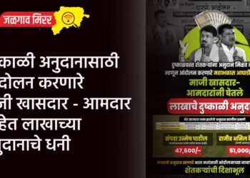 दुष्काळी अनुदानासाठी आंदोलन करणारे माजी खासदार – आमदार आहेत लाखाच्या अनुदानाचे धनी