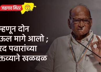 …म्हणून दोन पाऊल मागे आलो ; शरद पवारांच्या वक्तव्याने खळबळ