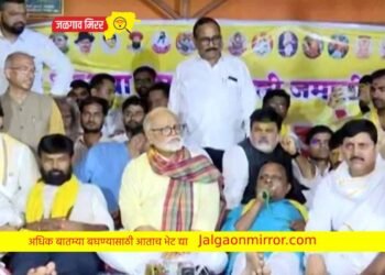 आजीच्या हातून पाणी पिऊन उपोषण सुटले ; आंदोलन थांबवलं नाही…