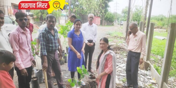 राधाकृष्ण नगरात नागरिकांनी केले वृक्षारोपण