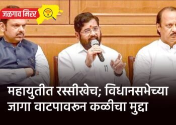 खळबळजनक : भावाने मध्यरात्री केला बहिणीचा खून !