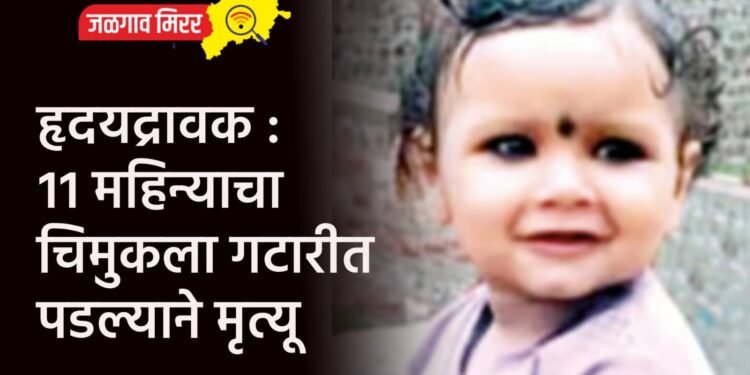 पक्षाचे नुकसान करणाऱ्यांना दारे बंद ; पवारांची भूमिका स्पष्ट