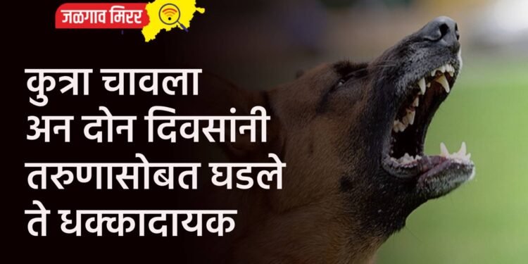 संतापजनक : सोन्याच्या बाळीसाठी वृद्धाला ठार करत कापला कान