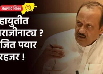 महायुतीत नाराजीनाट्य ? अजित पवार गैरहजर !