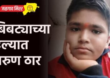 विहीर धसली, पती-पत्नीचा जागीच मृत्यू