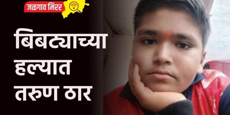 विहीर धसली, पती-पत्नीचा जागीच मृत्यू