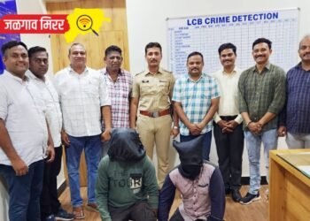 यंदापासून मुलींना पदवीपर्यंतचे उच्च शिक्षण मोफत