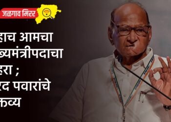 …हाच आमचा मुख्यमंत्रीपदाचा चेहरा ; शरद पवारांचे वक्तव्य