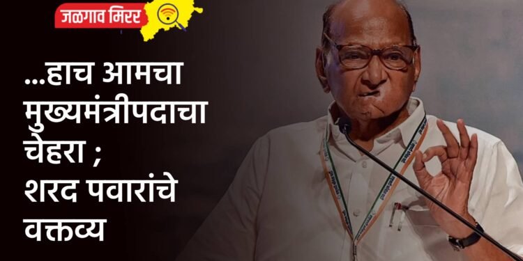 …हाच आमचा मुख्यमंत्रीपदाचा चेहरा ; शरद पवारांचे वक्तव्य
