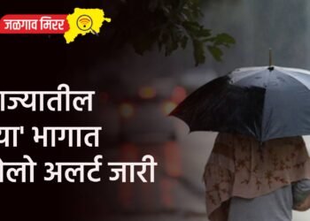 राज्यातील ‘या’ भागात येलो अलर्ट जारी