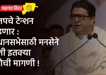 भाजपचे टेन्शन वाढणार :  विधानसभेसाठी मनसेने केली इतक्या जागेची मागणी !