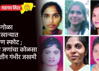 दारुगोळा कारखान्यात भीषण स्फोट ; सहा जणांचा कोळसा तर तीन गंभीर जखमी