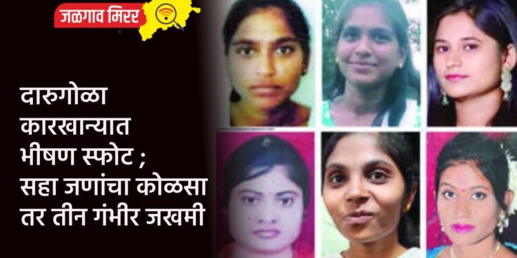 दारुगोळा कारखान्यात भीषण स्फोट ; सहा जणांचा कोळसा तर तीन गंभीर जखमी