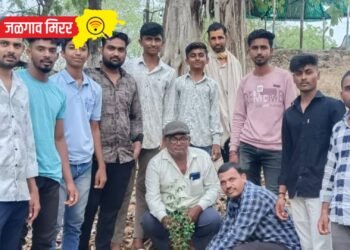 श्री क्षेत्र उनपदेव येथे महाराष्ट्र सैनिकांनी केलें वृक्षारोपण