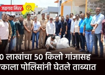१० लाखांचा ५० किलो गांजासह एकाला पोलिसांनी घेतले ताब्यात