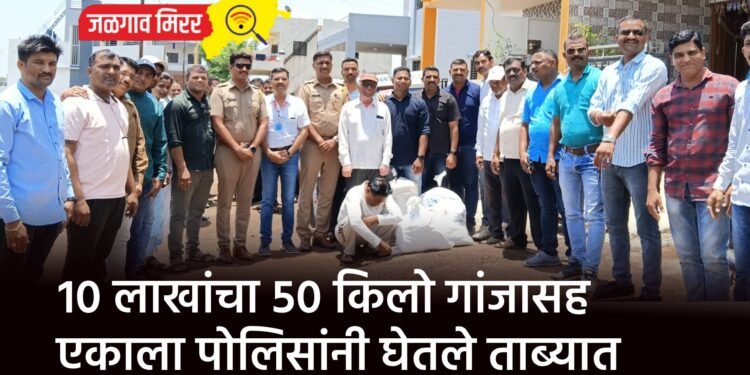 १० लाखांचा ५० किलो गांजासह एकाला पोलिसांनी घेतले ताब्यात