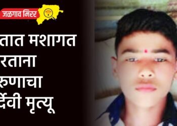 शेतात मशागत करताना तरुणाचा दुर्देवी मृत्यू