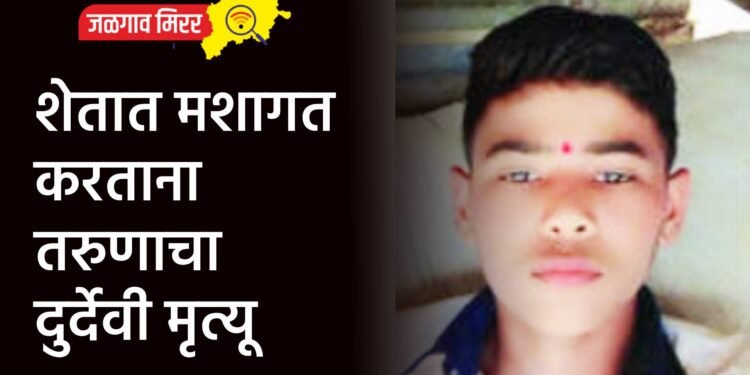 शेतात मशागत करताना तरुणाचा दुर्देवी मृत्यू