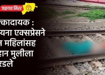 धक्कादायक : कोयना एक्सप्रेसने दोन महिलांसह लहान मुलीला चिरडले