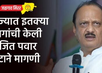 राज्यात इतक्या जागांची केली अजित पवार गटाने मागणी