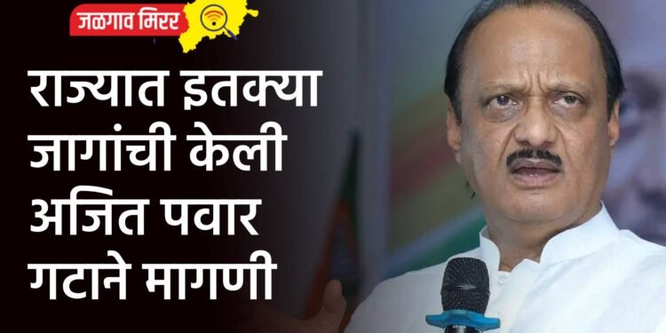 राज्यात इतक्या जागांची केली अजित पवार गटाने मागणी