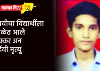 नववीचा विद्यार्थीला शाळेत आले चक्कर अन दुर्देवी मृत्यू