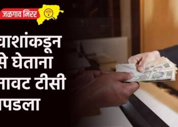 प्रवाशांकडून पैसे घेताना बनावट टीसी सापडला