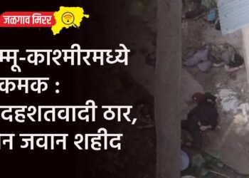 जम्मू-काश्मीरमध्ये चकमक : ५ दहशतवादी ठार, दोन जवान शहीद