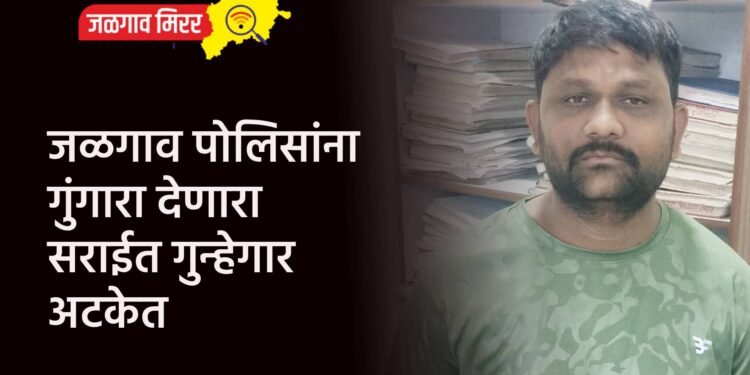 जळगाव पोलिसांना गुंगारा देणारा सराईत गुन्हेगार अटकेत