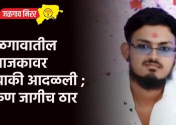 जळगावातील दुभाजकावर दुचाकी आदळली ; तरुण जागीच ठार