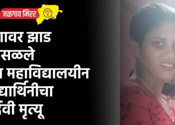 अंगावर झाड कोसळले अन महाविद्यालयीन विद्यार्थिनीचा दुर्देवी मृत्यू