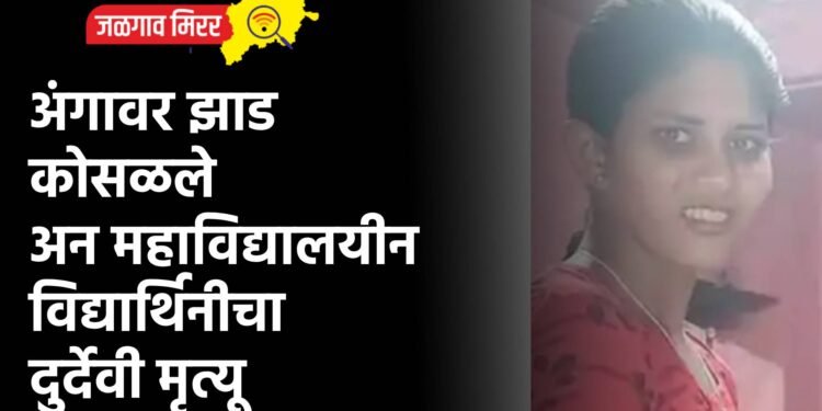 अंगावर झाड कोसळले अन महाविद्यालयीन विद्यार्थिनीचा दुर्देवी मृत्यू