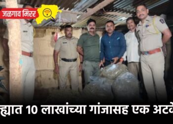 जिल्ह्यात १० लाखांच्या गांजासह एक अटकेत