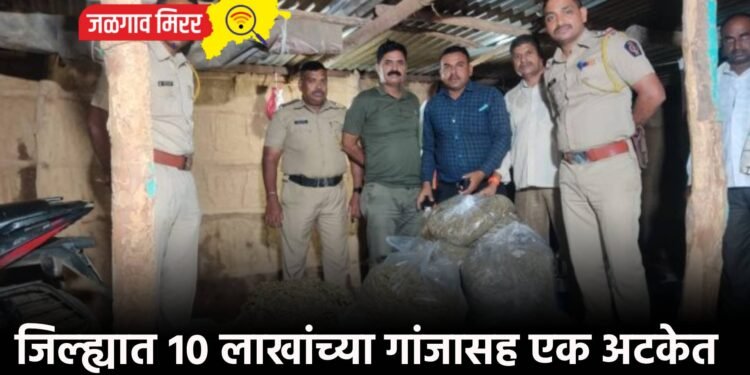जिल्ह्यात १० लाखांच्या गांजासह एक अटकेत