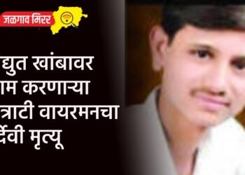 विद्युत खांबावर काम करणाऱ्या कंत्राटी वायरमनचा दुर्देवी मृत्यू