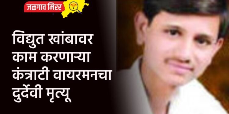 विद्युत खांबावर काम करणाऱ्या कंत्राटी वायरमनचा दुर्देवी मृत्यू