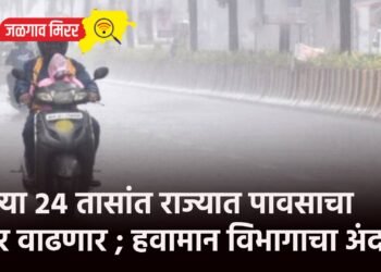 येत्या २४ तासांत राज्यात पावसाचा जोर वाढणार ; हवामान विभागाचा अंदाज