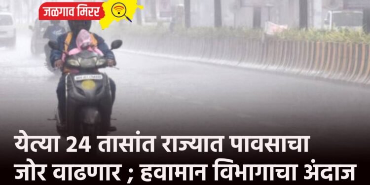 येत्या २४ तासांत राज्यात पावसाचा जोर वाढणार ; हवामान विभागाचा अंदाज