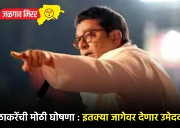 राज ठाकरेंची मोठी घोषणा : इतक्या जागेवर देणार उमेदवार !