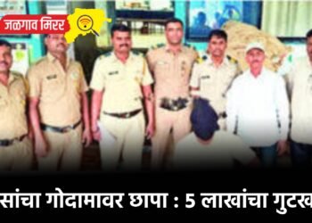 पोलिसांचा गोदामावर छापा : ५ लाखांचा गुटखा जप्त