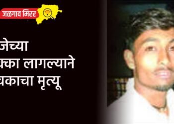 विजेच्या धक्का लागल्याने युवकाचा मृत्यू