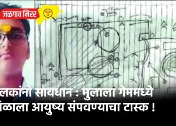 पालकांनो सावधान : मुलाला गेममध्ये मिळाला आयुष्य संपवण्याचा टास्क !