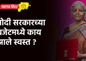 मोदी सरकारच्या बजेटमध्ये काय झाले स्वस्त ?