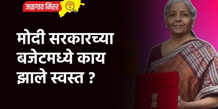 मोदी सरकारच्या बजेटमध्ये काय झाले स्वस्त ?