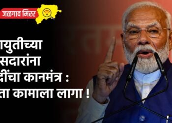 महायुतीच्या खासदारांना मोदींचा कानमंत्र : आता कामाला लागा !
