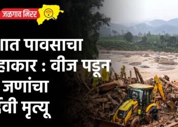 देशात पावसाचा हाहाकार : वीज पडून १० जणांचा दुर्देवी मृत्यू