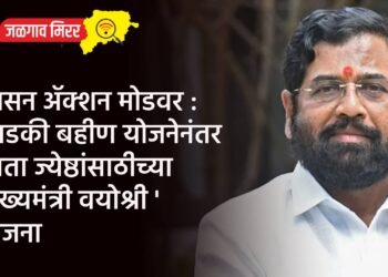 शासन ॲक्शन मोडवर : लाडकी बहीण योजनेनंतर आता ज्येष्ठांसाठीच्या ‘मुख्यमंत्री वयोश्री ‘ योजना