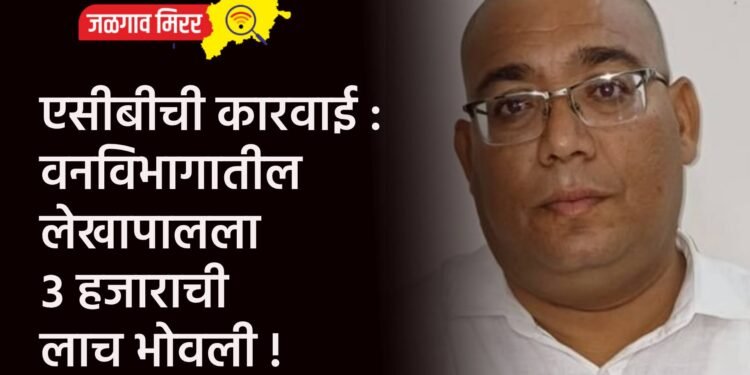 एसीबीची कारवाई : वनविभागातील लेखापालला ३ हजाराची लाच भोवली !