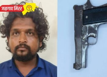 एलसीबीची कारवाई : गावठी पिस्तूल घेऊन दहशत माजविणारा अटकेत